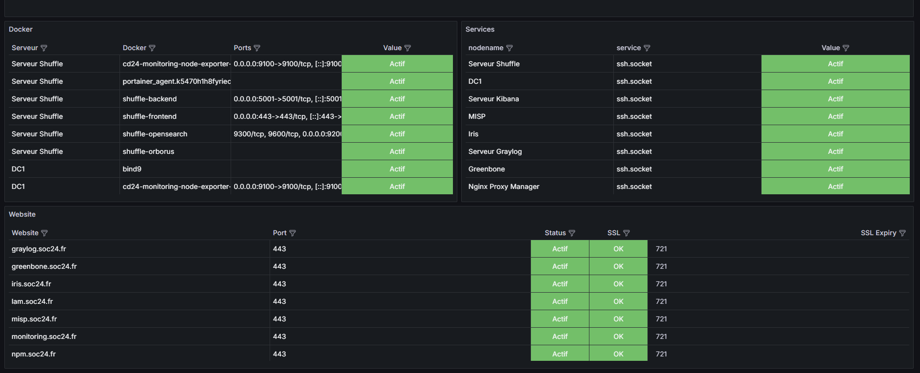 Monitoring détaillé : conteneurs, services et certificats TLS